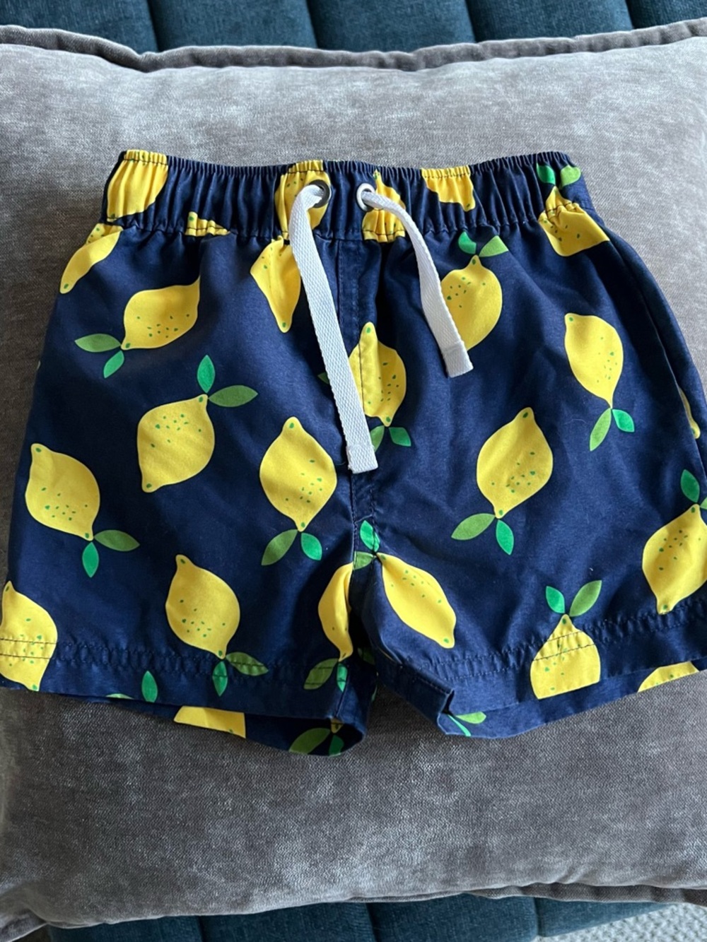 Hanna Andersson 2T Swim Trunks